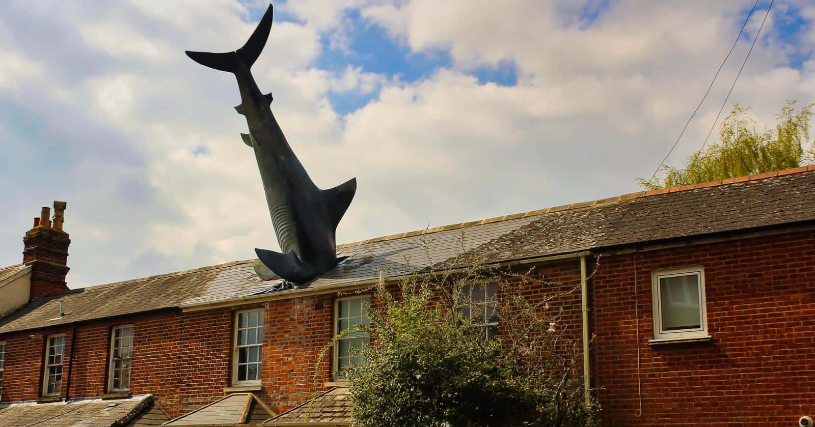 Shark house In Oxford