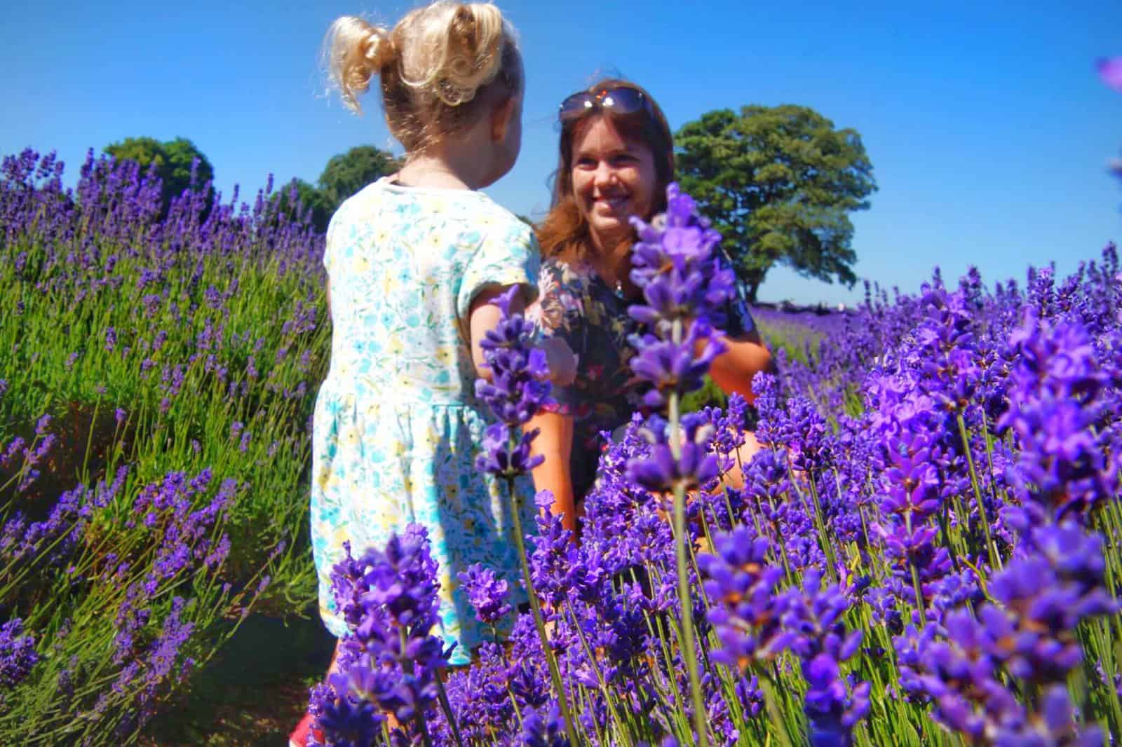 Family in Lavender - Best Lavender Farms in London