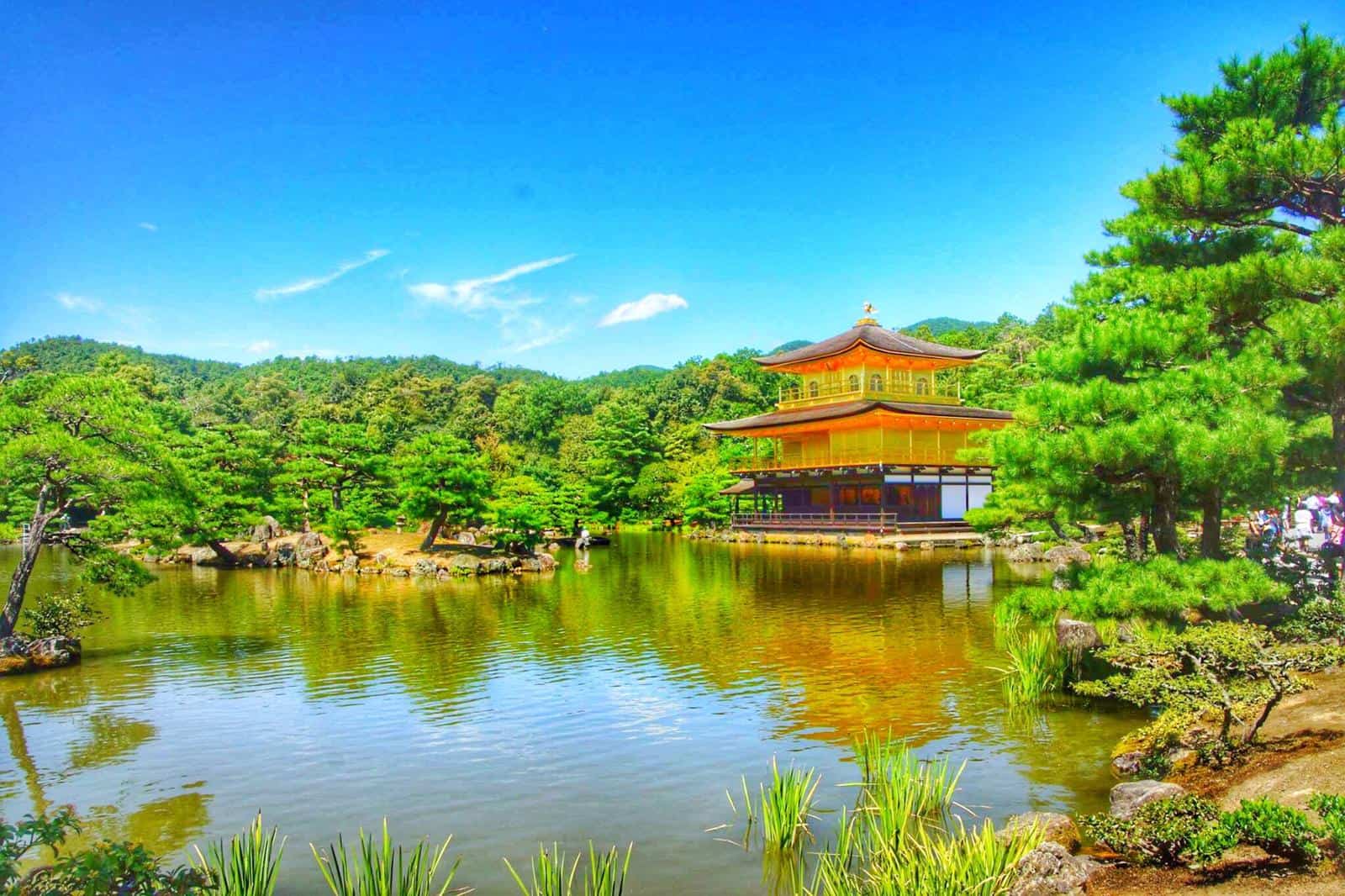 The Golden Pavilion one of the best things in kyoto for kids