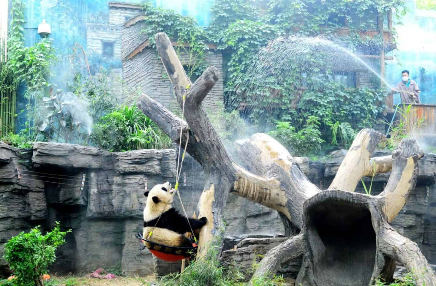 Top Things to do in Beijing with Kids - Wandermust Family