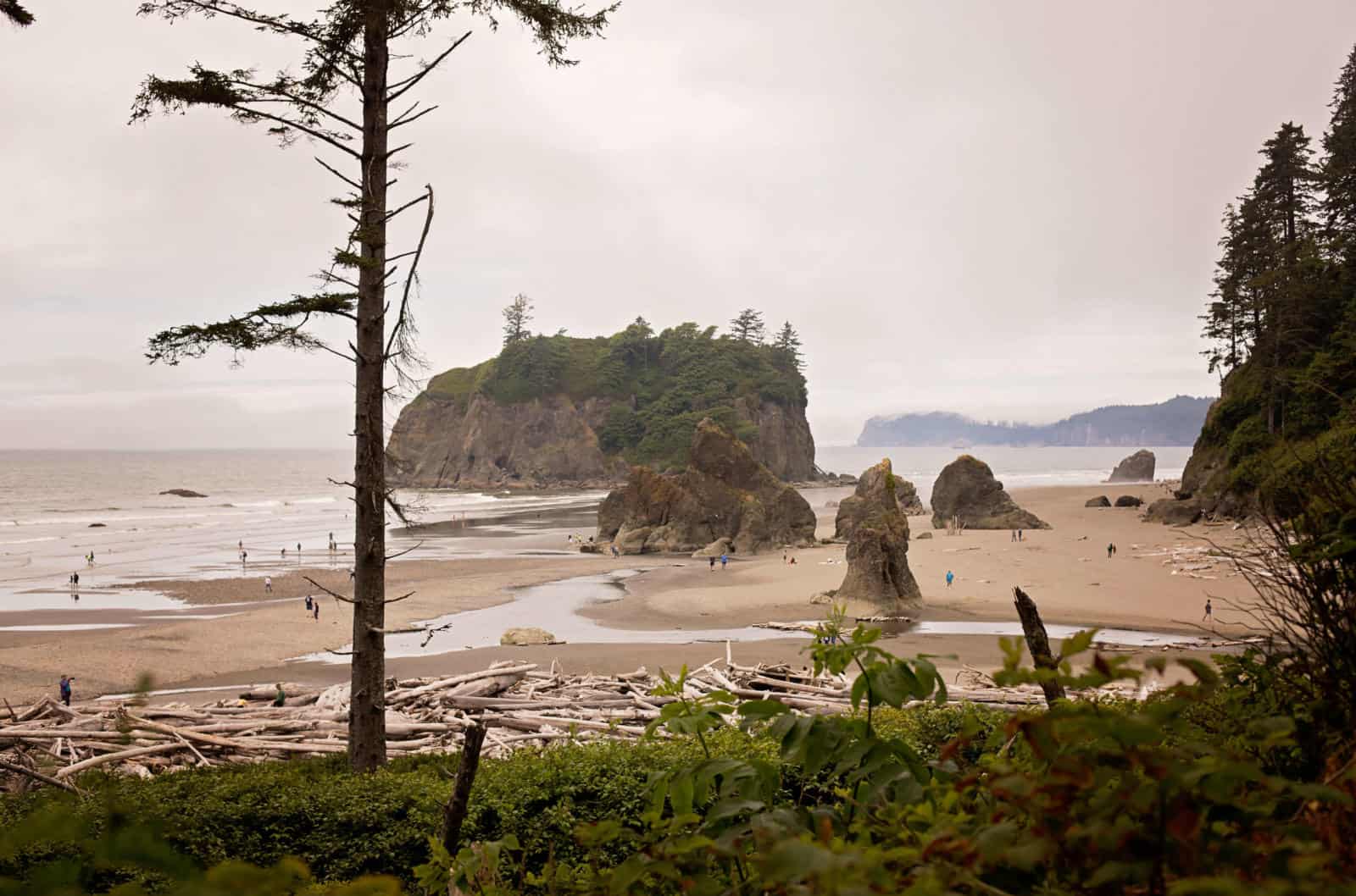 Visit Ruby Beach at Olympic National Park 