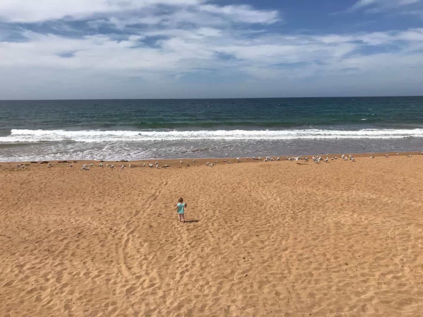 Best Things to do in Burnie Tasmania Wandermust Family Best Things to do in Burnie Tasmania Wandermust Family