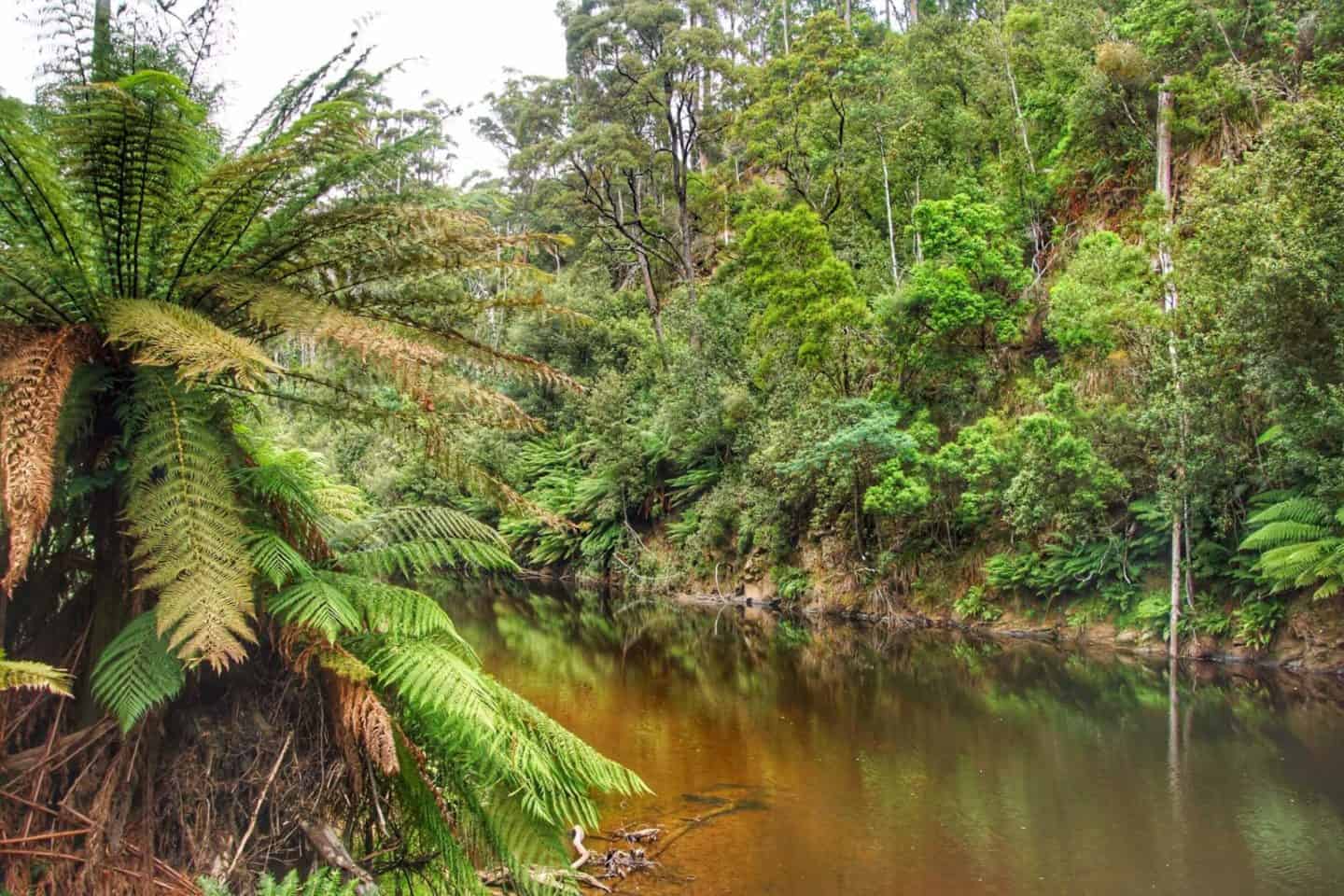 Best Things to do in Burnie Tasmania Wandermust Family Best Things to do in Burnie Tasmania Wandermust Family