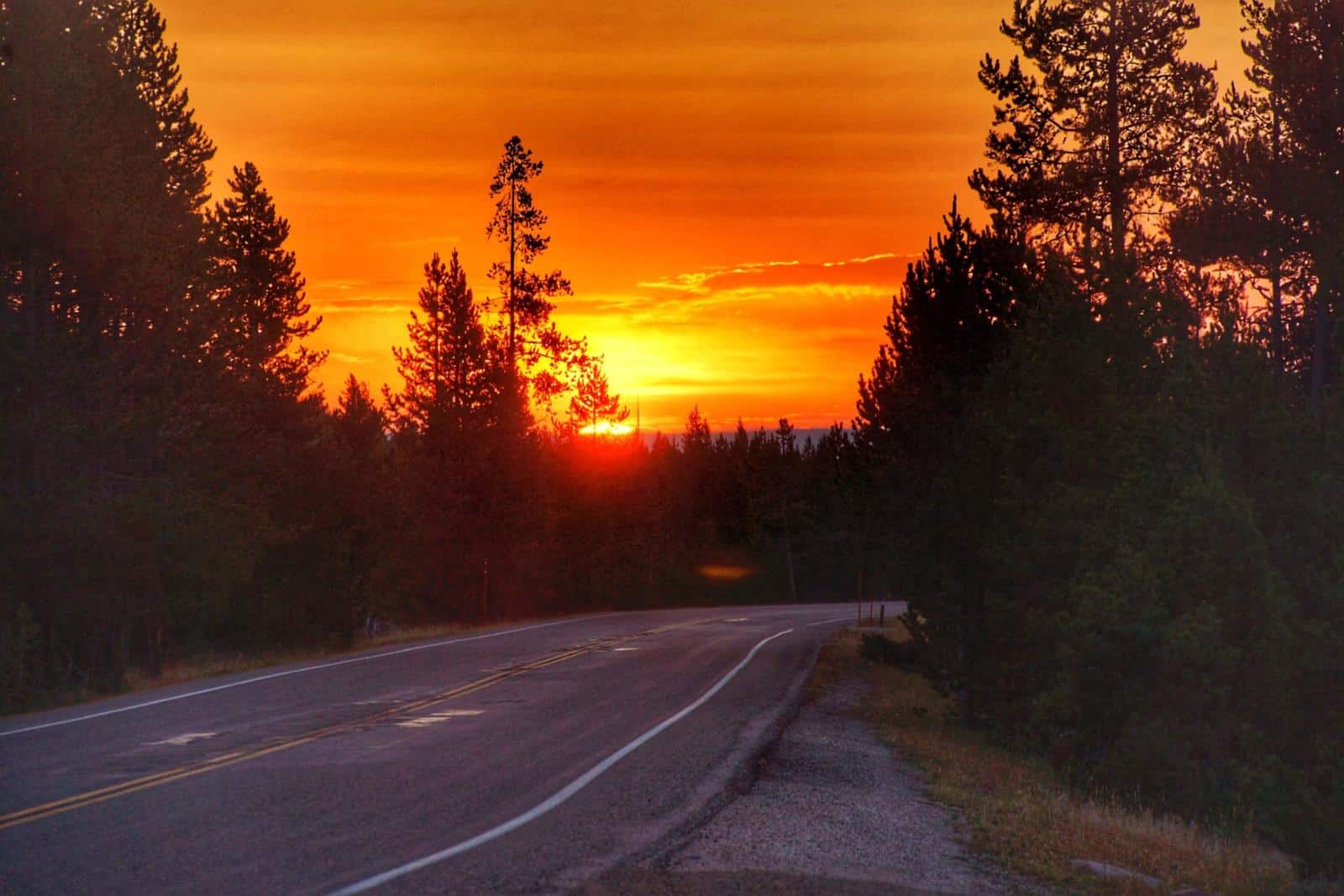 Yellowstone in the morning showing road and sunrise. 