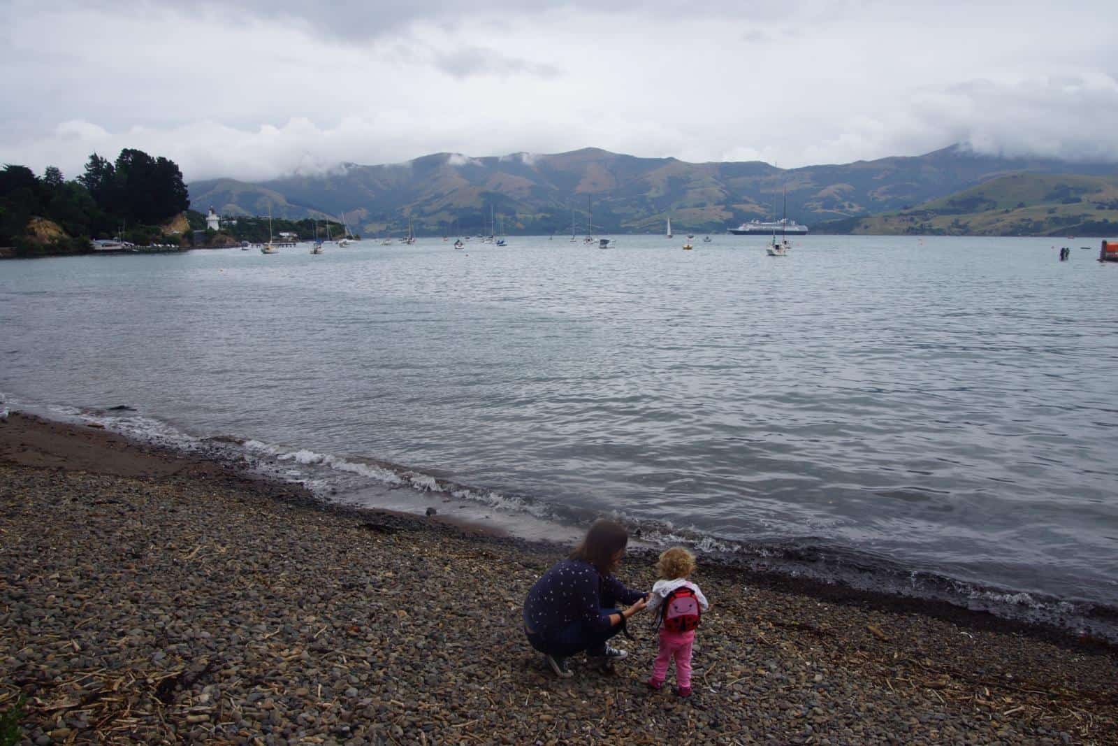 Best Things to Do in Akaroa New Zealand - Akaroa Day Trip from Christchurch