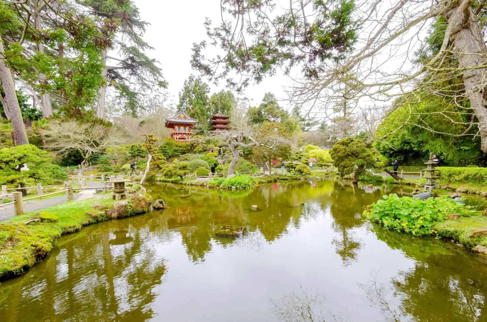 View of the Japanese tea garden in the Golden Gate Park in San Francisco