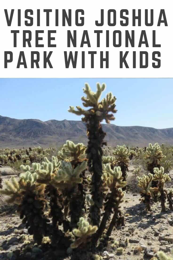 Visiting Joshua Tree National Park with toddlers