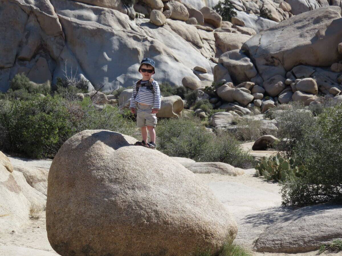 Best Things to Do at Joshua National park with kids
