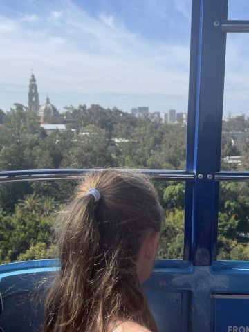 Visiting San Diego zoo with toddlers and baby - Skyfari