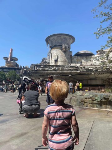 Disneyland with toddlers