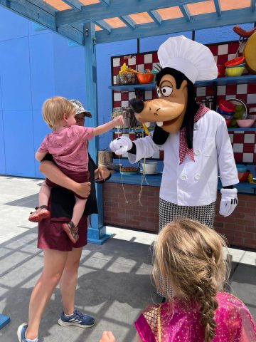 Best Alternatives to Disney Autograph Books