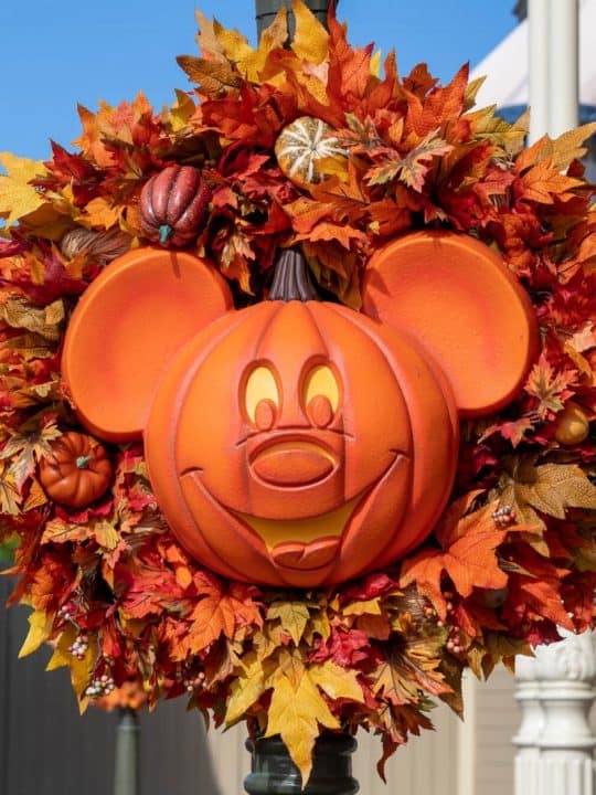 Is Disneyland busy on Thanksgiving?