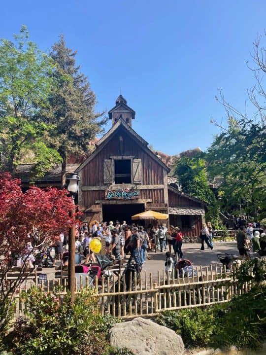ULTIMATE Guide to Disneyland Single Rider Lines
