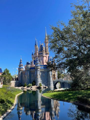 Best Disney Castle Instagram Captions . Disney World Thanksgiving