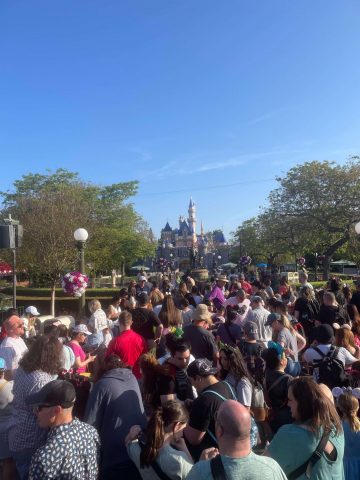 Best day of the week to visit Disneyland