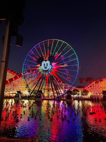 Instagram captions for Disneyland