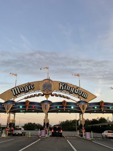 Do you need a car at Disney World?