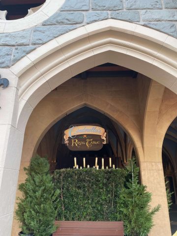 Magic Kingdom Thanksgiving Guide
