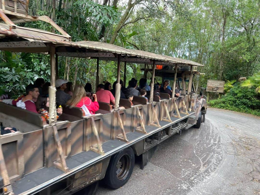 The ULTIMATE 2 week Orlando Itinerary - Wandermust Family