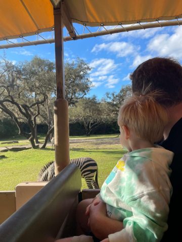Safari - Best Age for Animal Kingdom / Animal Kingdom with toddlers / Animal Kingdom Rides for toddlers