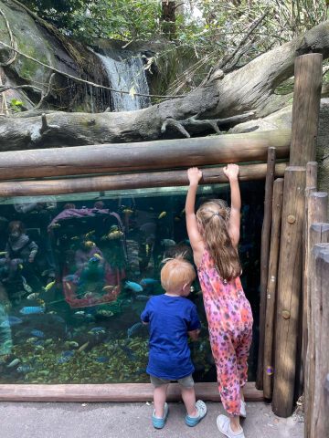 Kids at Animal Kingdom - Best Age for Animal kingdom