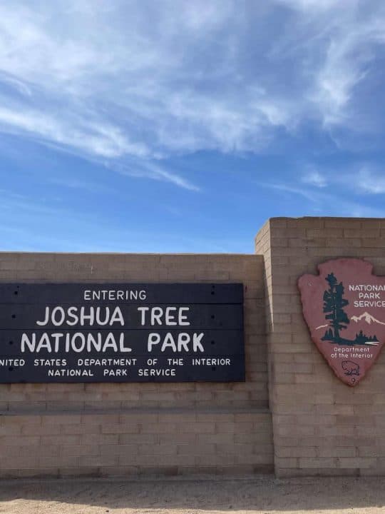 Is Joshua Tree Worth Visiting?