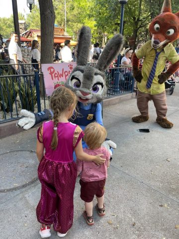 What is the Best Age For Disneyland