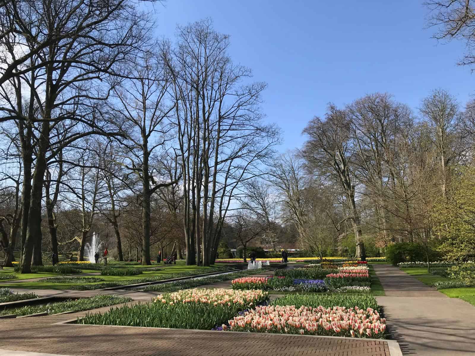 tulip field - Best Month to Visit Keukenhof Gardens