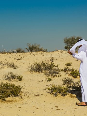 The Best Desert Quotes for Instagram