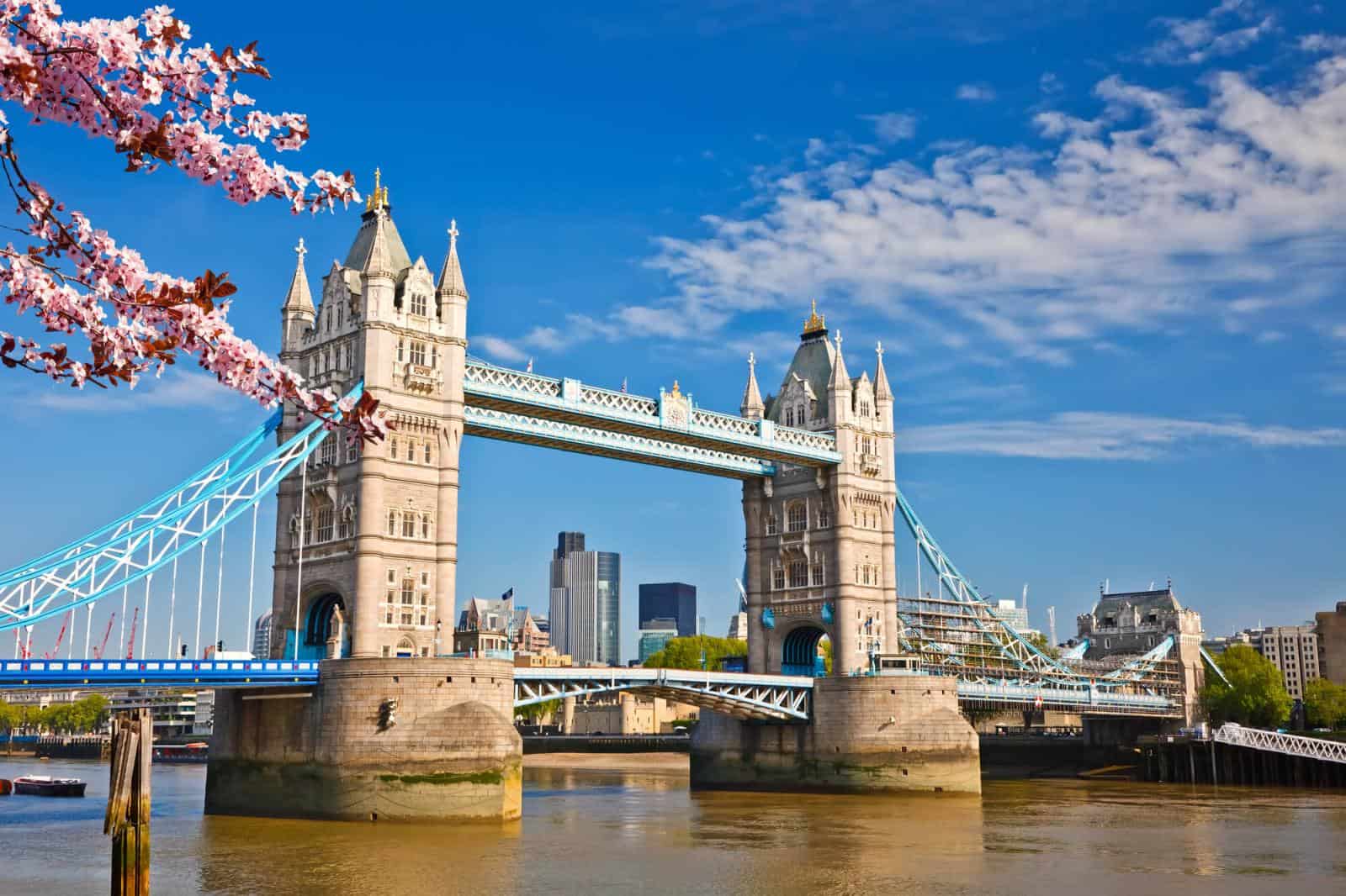 Cherry Blossom near Tower Bridge - what to wear in London in May