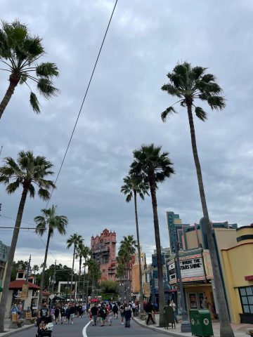 Hollywood Studios landscape - best Hollywood Studios Instagram Captions