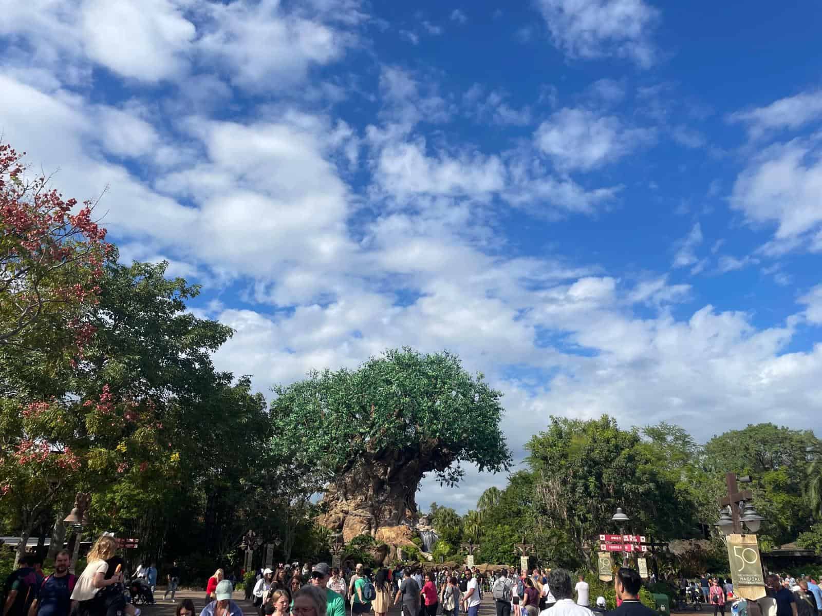 Tree of Life - Disney Animal Kingdom Instagram Captions and Quotes