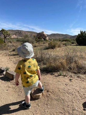 Joshua Tree with Toddlers