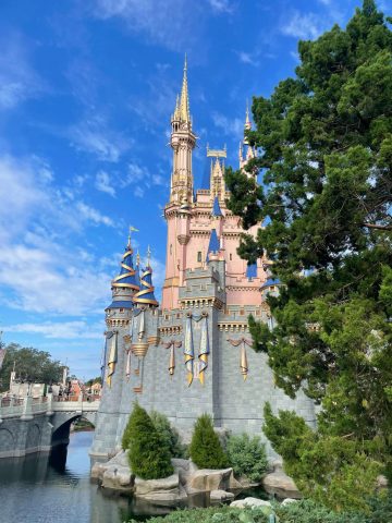 Disney World Castle - How Many Days for Magic Kingdom do you need?