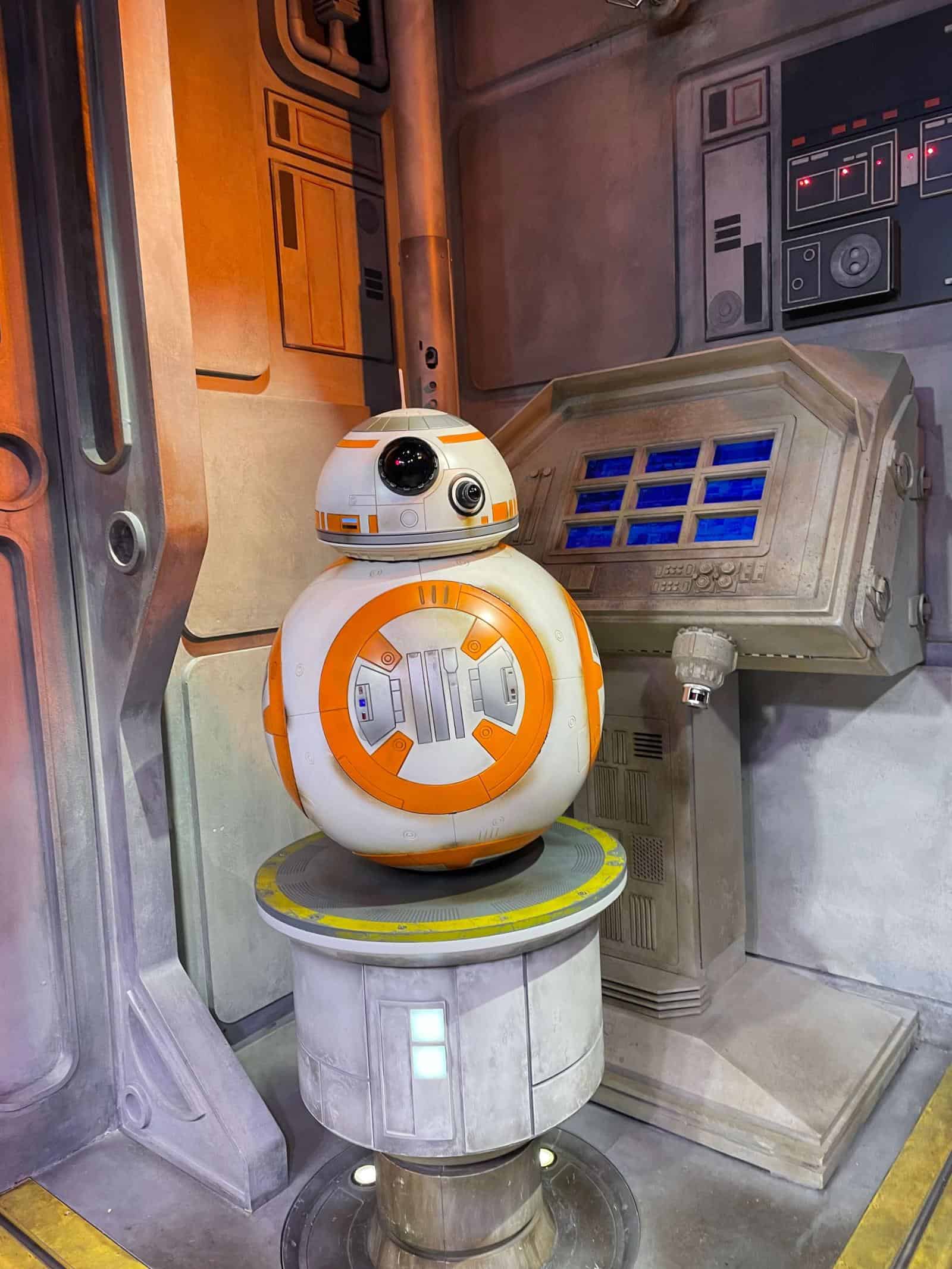 BB8 - How to Meet Characters at Hollywood Studios