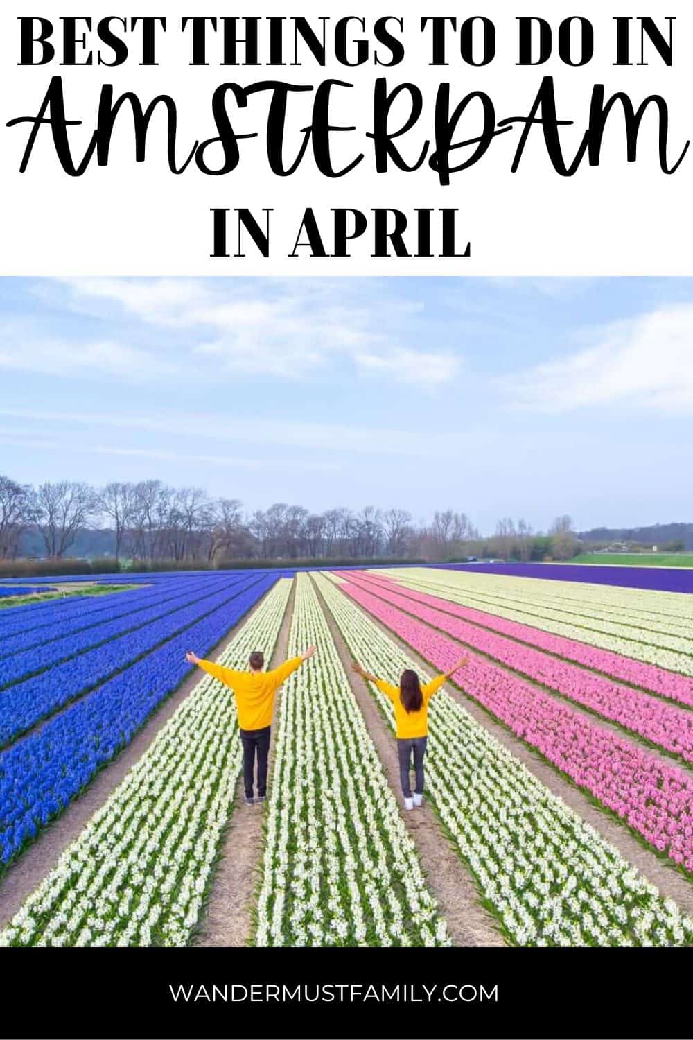 Pin showing people in tulip field and text reading best things to do in Amsterdam in April
