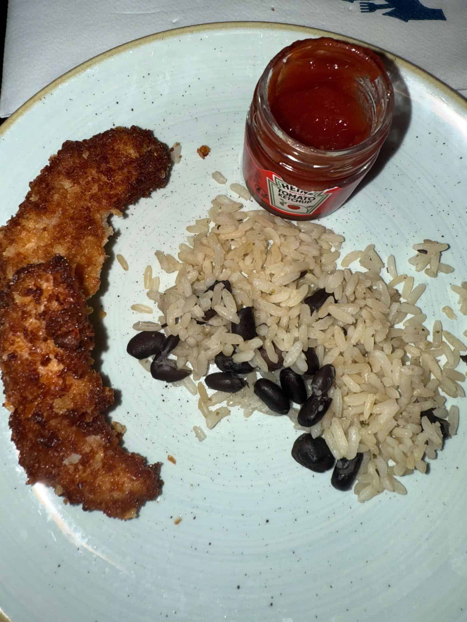 chicken and rice on plate